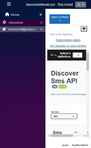Send Sms from API